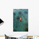 School Of Fish Encircling Woman Floating In Tropical Ocean Water Wall Mural