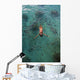 School Of Fish Encircling Woman Floating In Tropical Ocean Water Wall Mural