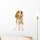 Curious Beagle Puppy Wall Decal