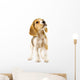 Curious Beagle Puppy Wall Decal