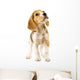 Curious Beagle Puppy Wall Decal