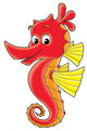 Sea Horse Wall Decal