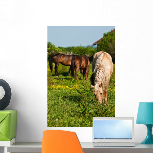 Horses