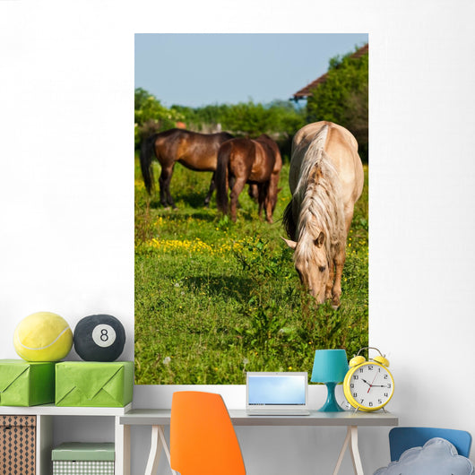 Horses