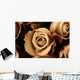 Roses Flower Closeup Wall Decal