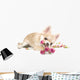 Amusing Chihuahua Puppy With Roses Wall Decal