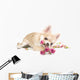 Amusing Chihuahua Puppy With Roses Wall Decal