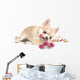 Amusing Chihuahua Puppy With Roses Wall Decal
