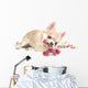 Amusing Chihuahua Puppy With Roses Wall Decal