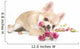 Amusing Chihuahua Puppy With Roses Wall Decal