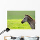Zebra Wall Mural
