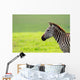 Zebra Wall Mural
