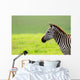 Zebra Wall Mural