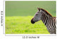 Zebra Wall Mural