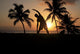 Silhouette Of Man Stretching Near The Beach As The Golden Sunsets Wall Mural