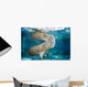 USA, Florida, Endangered Manatee Wall Mural