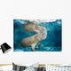 USA, Florida, Endangered Manatee Wall Mural