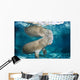 USA, Florida, Endangered Manatee Wall Mural