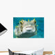 Closeup Underwater Photo of Burrfish Wall Mural