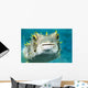Closeup Underwater Photo of Burrfish Wall Mural