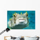 Closeup Underwater Photo of Burrfish Wall Mural