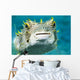 Closeup Underwater Photo of Burrfish Wall Mural