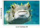 Closeup Underwater Photo of Burrfish Wall Mural