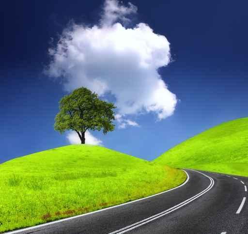 Road and Green Tree Wall Decal