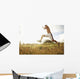 Hawaii, Oahu, Atheltic Male Jogging On An Outdoor Field Walkway Path Wall Mural