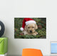 Labrador Retriever Puppy With Santa Hat In A Christmas Wreath Wall Mural