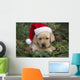 Labrador Retriever Puppy With Santa Hat In A Christmas Wreath Wall Mural