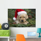 Labrador Retriever Puppy With Santa Hat In A Christmas Wreath Wall Mural
