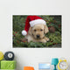 Labrador Retriever Puppy With Santa Hat In A Christmas Wreath Wall Mural
