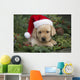 Labrador Retriever Puppy With Santa Hat In A Christmas Wreath Wall Mural