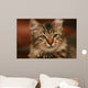 Cute Little Cat Wall Mural