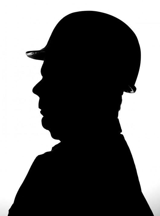 Silhouette Wall Mural