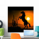horse silhouette a Wall Mural