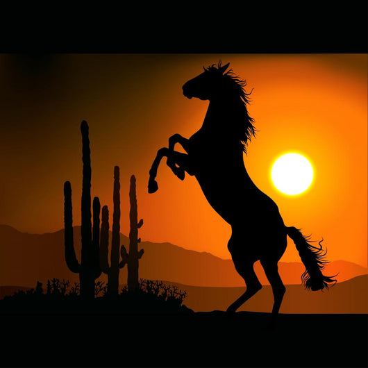 horse silhouette a Wall Mural