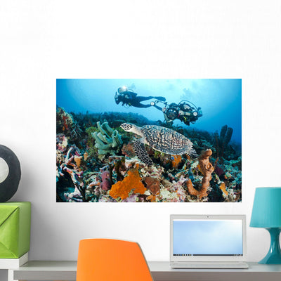 Indonesia Divers Photographing Hawksbill Wall Mural shown on a wall