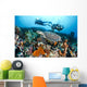 Indonesia, Divers Photographing A Hawksbill Turtle On A Reef Wall Mural