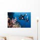 Indonesia, Bali, Divers Photographing A Crinoid And Soft Coral Wall Mural