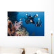 Indonesia, Bali, Divers Photographing A Crinoid And Soft Coral Wall Mural