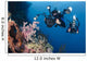 Indonesia, Bali, Divers Photographing A Crinoid And Soft Coral Wall Mural