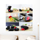 Spa Wall Mural