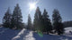 Winterlandschaft Wall Decal