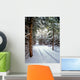 Snowmobile Trail3 Wall Mural