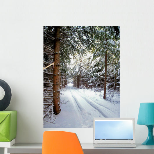 Snowmobile Trail3 Wall Mural
