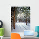 Snowmobile Trail3 Wall Mural