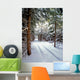 Snowmobile Trail3 Wall Mural