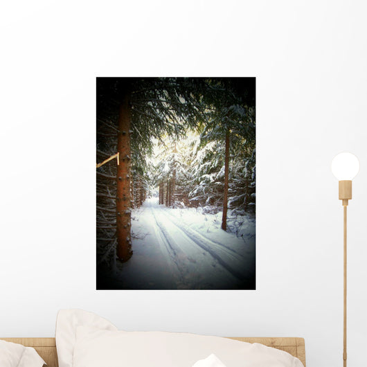 Snowmobile Trail4 Wall Mural